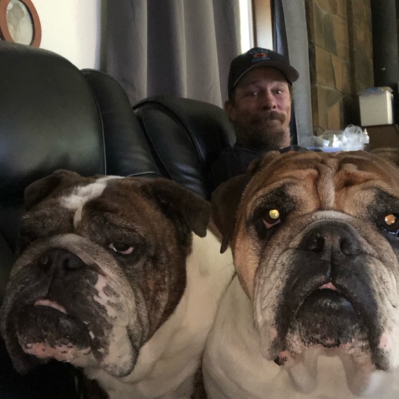 🏴‍☠️☠️💀❤️Hello Posh Friends! Here is a little bit about me and mine❤️💀☠️🏴‍☠️ - Picture 4 of 12